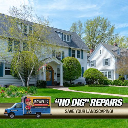 Trenchless Pipe Relining Alexandria: We Save Pipes, Others Dig Up!