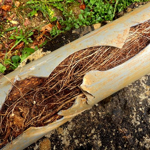 Same Day Drain Sewer & Rooter Pros Across Alexandria